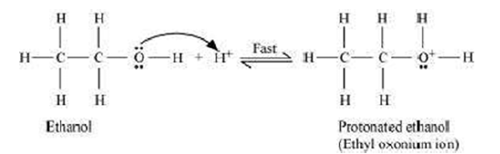 CBSE Class 12 Chemistry-Alcohol, Phenol & Ether 1