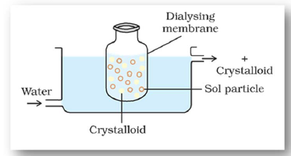 CBSE Class 12 Chemistry-Surface Chemistry 2