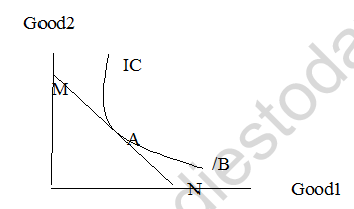 CBSE Class 12 Economics On Indifference Curve Worksheet