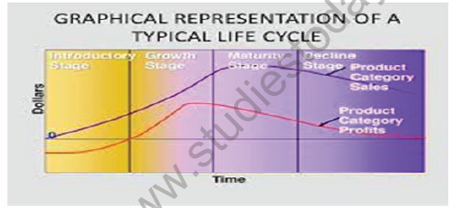 CBSE Class 12 Marketing Managing Product Life Cycle Notes 1