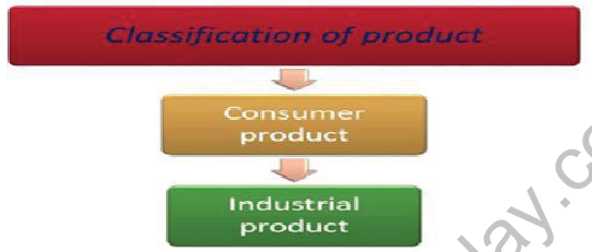 CBSE Class 12 Marketing Product Classification Notes 1