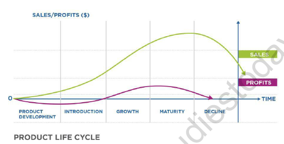 CBSE Class 12 Marketing Product Life Cycle Notes 1