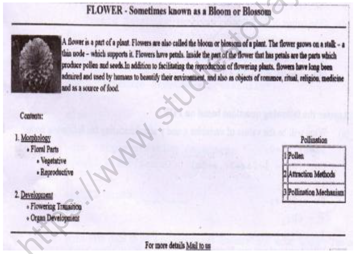 CBSE Class 12 Multimedia Web Tech Sample Paper 2021 Set A Solved 4