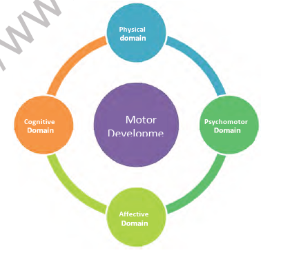 CBSE Class 12 Physical Education Children And Women In Sports Notes 2