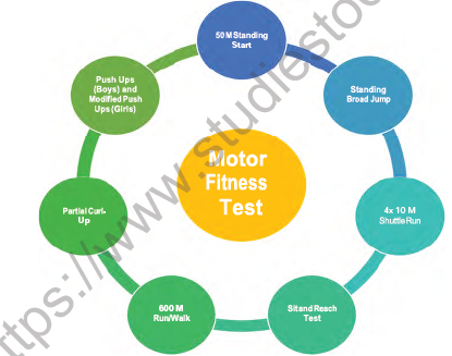CBSE Class 12 Physical Education Test And Measurement In Sports Notes