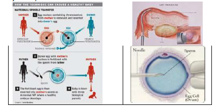 CBSE Class 12 Biology VBQs Set B