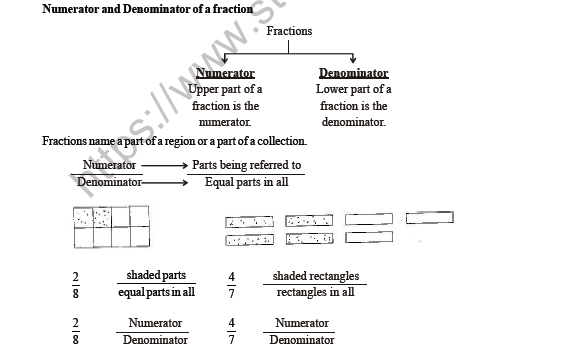 CBSE Class 3 Maths Fraction Worksheet 3