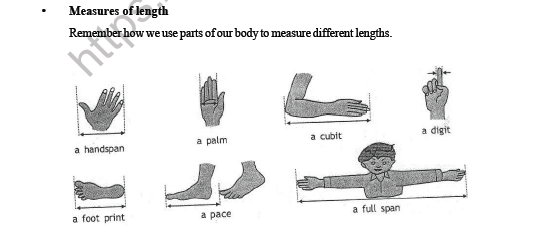 CBSE Class 3 Maths Measurement Worksheet 3