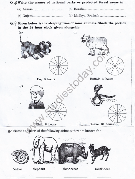 CBSE Class 5 EVS Revision Worksheet- Super Senses 1