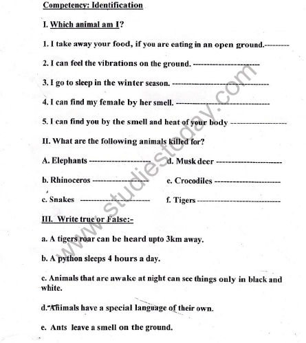 CBSE Class 5 EVS Revision Worksheet- Super Senses 3