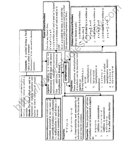 CBSE Class 6 Maths Algebra Worksheet 2