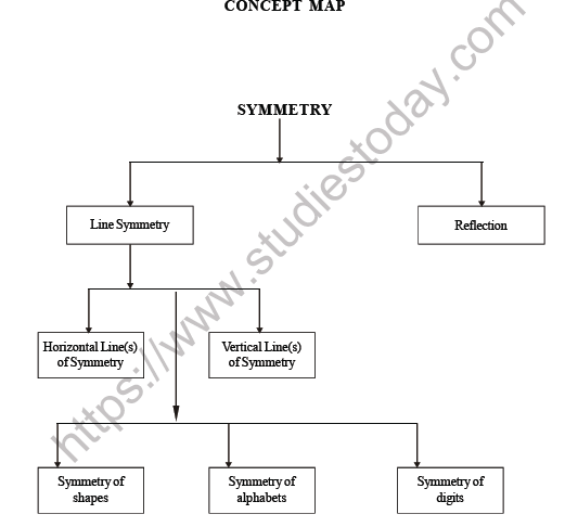 CBSE Class 6 Maths Symmetry Worksheet 2