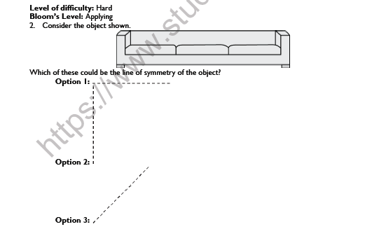 CBSE Class 6 Maths Symmetry Worksheet Set A 2