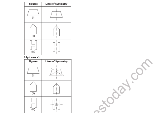 CBSE Class 7 Maths Symmetry Worksheet Set A 5