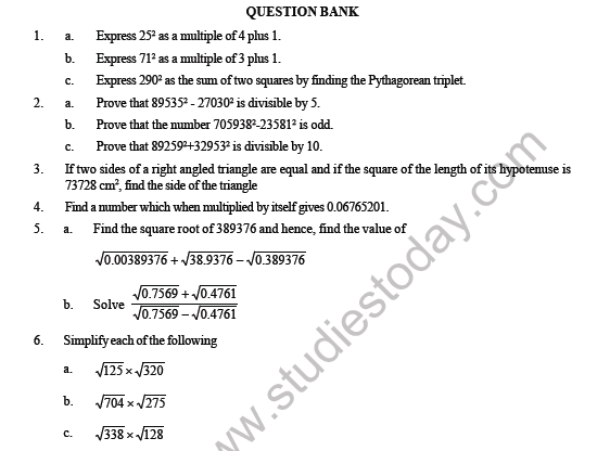 CBSE Class 8 Maths Square and Square Roots Question Bank 1