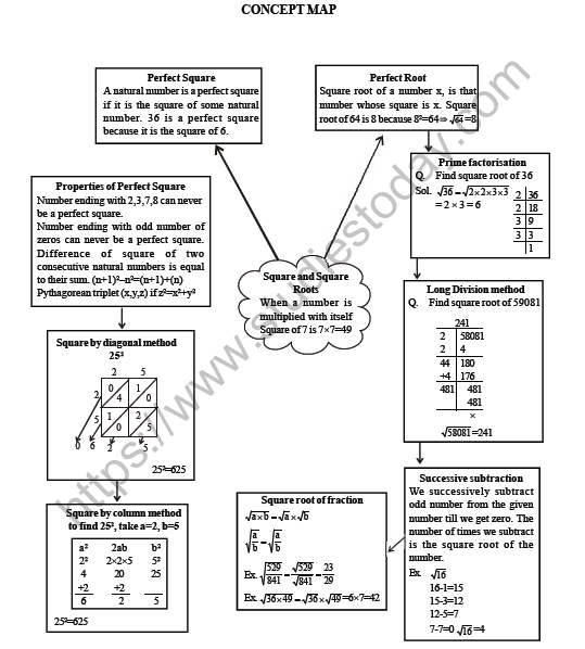 CBSE Class 8 Maths Square and Square Roots Worksheet 3