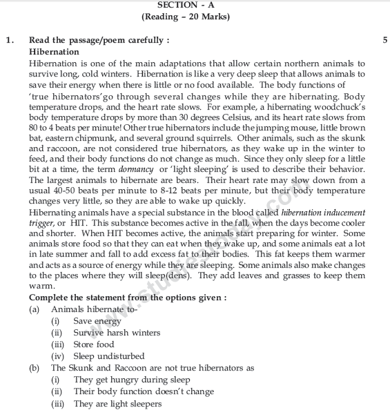 CBSE Class 9 English Communicative Sample Paper Set 19