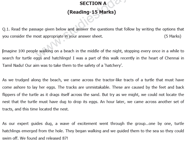 Paragraph 23 — lesson. English Language CBSE, Class 9.