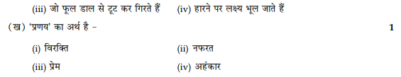 CBSE Class 9 Hindi B Sample Paper Set 14-