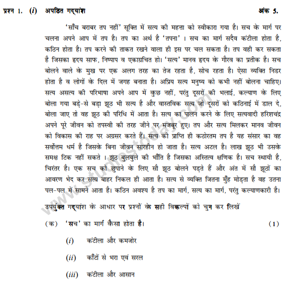 CBSE Class 9 Hindi B Sample Paper Set 17