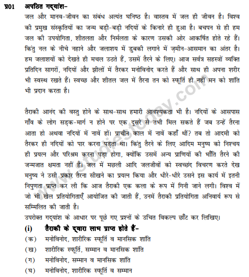 CBSE Class 9 Hindi B Sample Paper Set 18