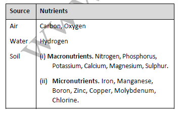 CBSE Class 9 Science Improvement in Food Resources Exam Notes