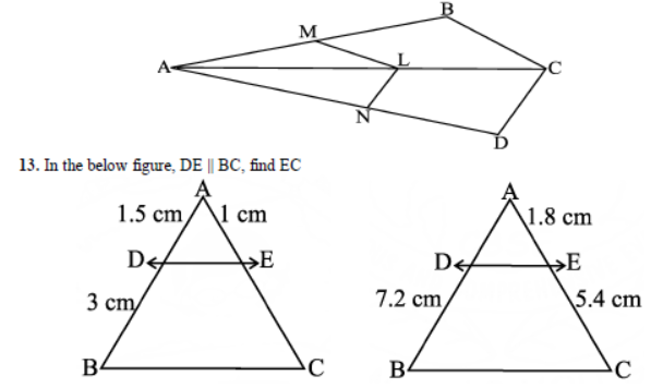 CBSE Class 10 Triangles Sure Shot Questions