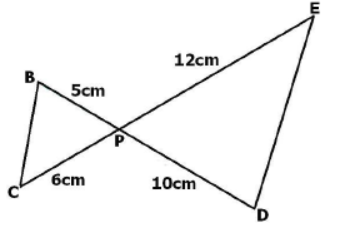 CBSE Class 10 Triangles Sure Shot Questions