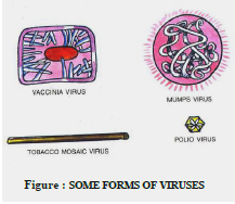 Class 8 Science Microorganisms Exam Notes