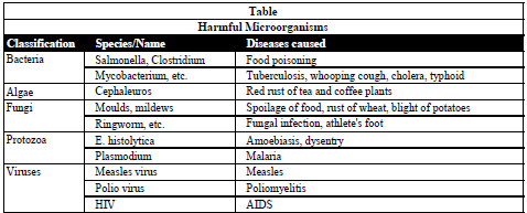 Class 8 Science Microorganisms Exam Notes