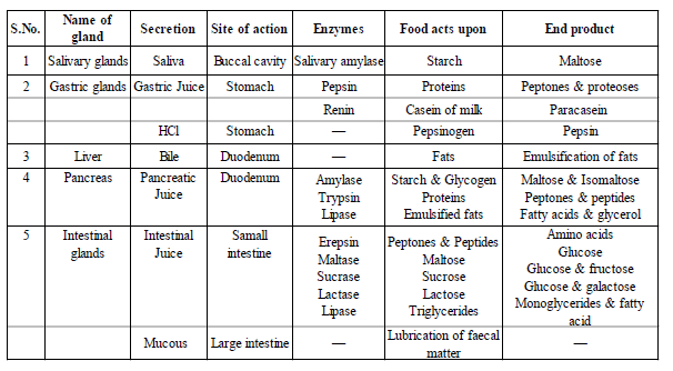 Class 10 Science Nutrition Exam Notes_3