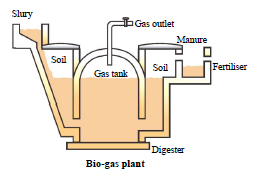 Class 10 Science Source of Energy Exam Notes_2