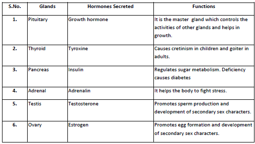 Class 8 Science Reaching at the Age of Adolescence Exam Notes