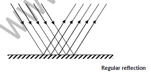 Class 10 Science Light Reflection Exam Notes