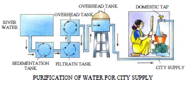 Class 8 Science Pollution of Air and Water Exam Notes