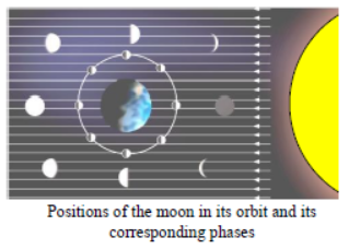 Class 8 Science Stars and the Solar System Exam Notes