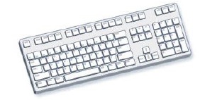Basics of Computer Class 4 Computers Printable Worksheet Free PDF