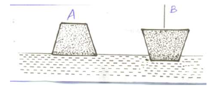 Grade 3 G.S General Science 1