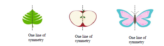 Grade 6 Maths 3