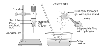 NCERT Exemplar Solutions Class 10 Science Acids Bases And Salts