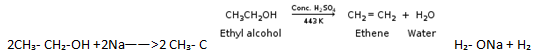 NCERT Exemplar Solutions Class 10 Science Carbon and its Compounds