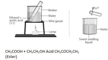 NCERT Exemplar Solutions Class 10 Science Carbon and its Compounds