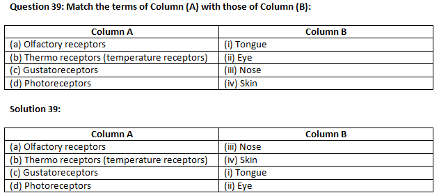 NCERT Exemplar Solutions Class 10 Science Control And Coordination