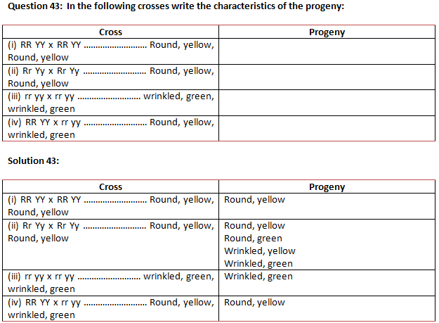 NCERT Exemplar Solutions Class 10 Science Heredity and Evolution