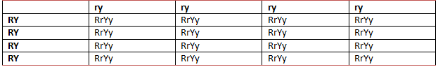 NCERT Exemplar Solutions Class 10 Science Heredity and Evolution