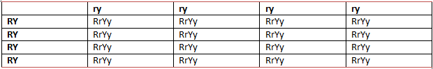 NCERT Exemplar Solutions Class 10 Science Heredity and Evolution