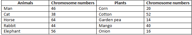 NCERT Exemplar Solutions Class 10 Science How do Organisms Reproduce