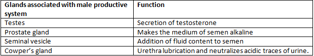 NCERT Exemplar Solutions Class 10 Science How do Organisms Reproduce