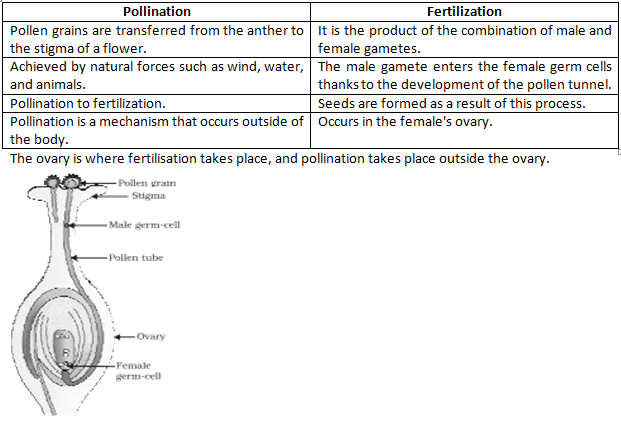 NCERT Exemplar Solutions Class 10 Science How do Organisms Reproduce