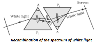 NCERT Exemplar Solutions Class 10 Science Human Eye and Colourful World